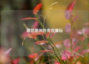 德信德州扑克在哪玩