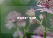 德信德州扑克网站