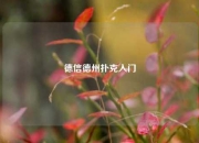德信德州扑克入门