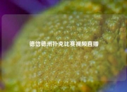 德信德州扑克比赛视频直播