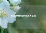 德信德州扑克历史最大底池