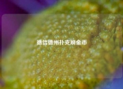 德信德州扑克刷金币