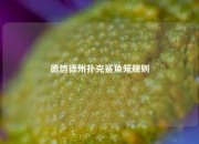 德信德州扑克鲨鱼笼规则