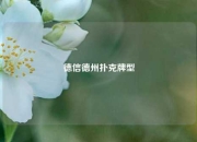 德信德州扑克牌型