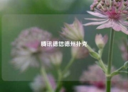 腾讯德信德州扑克