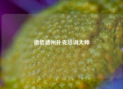 德信德州扑克培训大师