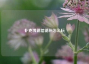 扑克牌德信德州怎么玩