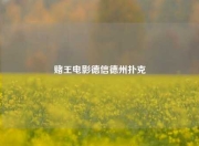 赌王电影德信德州扑克