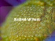 德信德州扑克俱乐部照片
