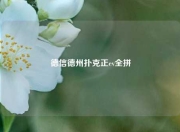 德信德州扑克正ev全拼