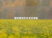 德信德州扑扑克安卓版
