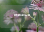 德信德州扑克术语