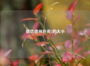 德信德州扑克2的大小