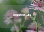哪里玩德信德州扑克