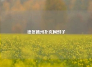 德信德州扑克同对子