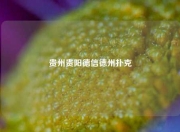 贵州贵阳德信德州扑克