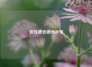 在线德信德州扑克