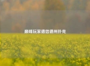 巅峰玩家德信德州扑克