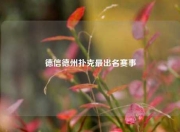 德信德州扑克最出名赛事