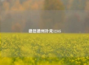 德信德州扑克12345
