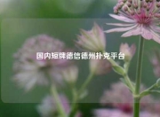 国内短牌德信德州扑克平台