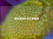 德信德州扑克比赛视频