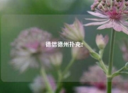 德信德州扑克2