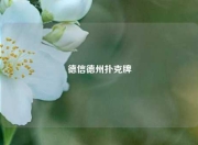 德信德州扑克牌