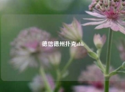 德信德州扑克abb