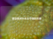 德信德州扑克在中国的发展