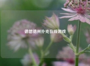 德信德州扑克在线游戏