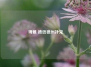 博雅 德信德州扑克