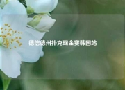 德信德州扑克现金赛韩国站