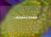 aof德信德州扑克啥意思