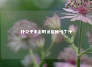 扑克王里面的德信德州牛仔