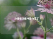 边锋德信德州扑克凉了