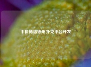 手机德信德州扑克平台开发