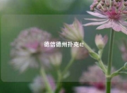 德信德州扑克42