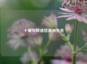 十堰邦辉德信德州扑克