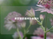 美女德信德州扑克图片