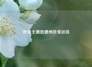 扑克王德信德州扑克社区