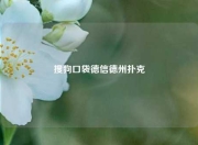 搜狗口袋德信德州扑克