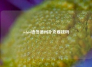sohoo德信德州扑克要钱吗