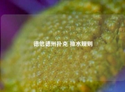 德信德州扑克 抽水规则