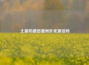 土豪的德信德州扑克激活码