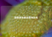 高额现金德信德州扑克