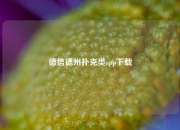 德信德州扑克类app下载