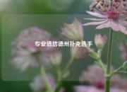 专业德信德州扑克选手