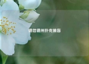 德信德州扑克偷盲