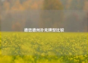 德信德州扑克牌型比较
